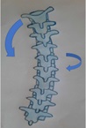icona SCHEMA INCLINAZIONE E ROTAZIONE SCOLIOSI